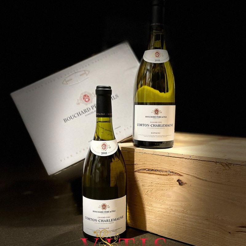Rượu vang Pháp Bouchard Père & Fils Beaune Clos Saint Landry 2019